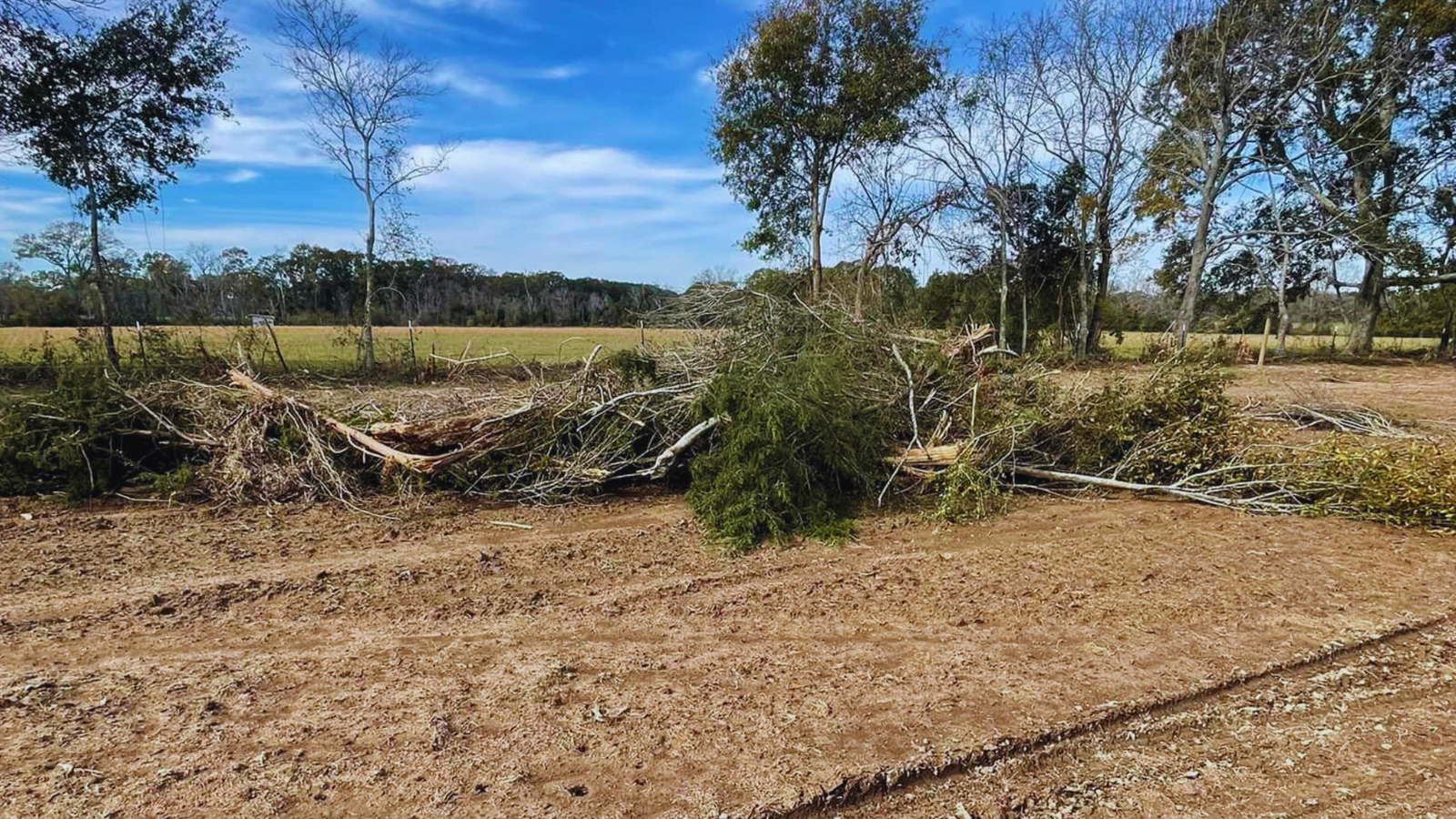 Debris Pile