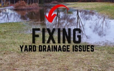 Fixing Drainage Issues In Your Yard