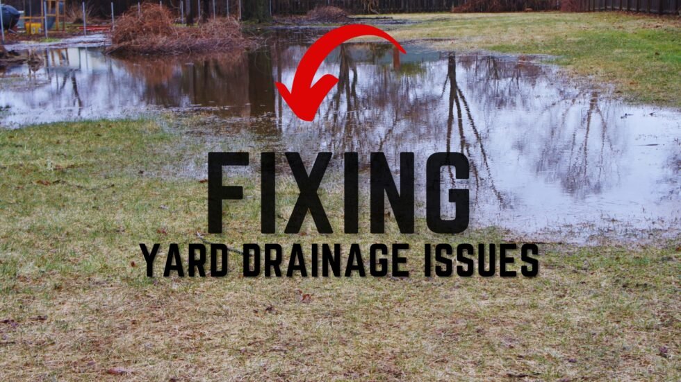 Fixing Drainage Issues In Your Yard
